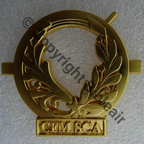 GS.325 CENTRE FORMATION MILIT SCA  FIA Sigle 2Attach PINS Dos lisse Src.P.GOUT 30Eur11.25 